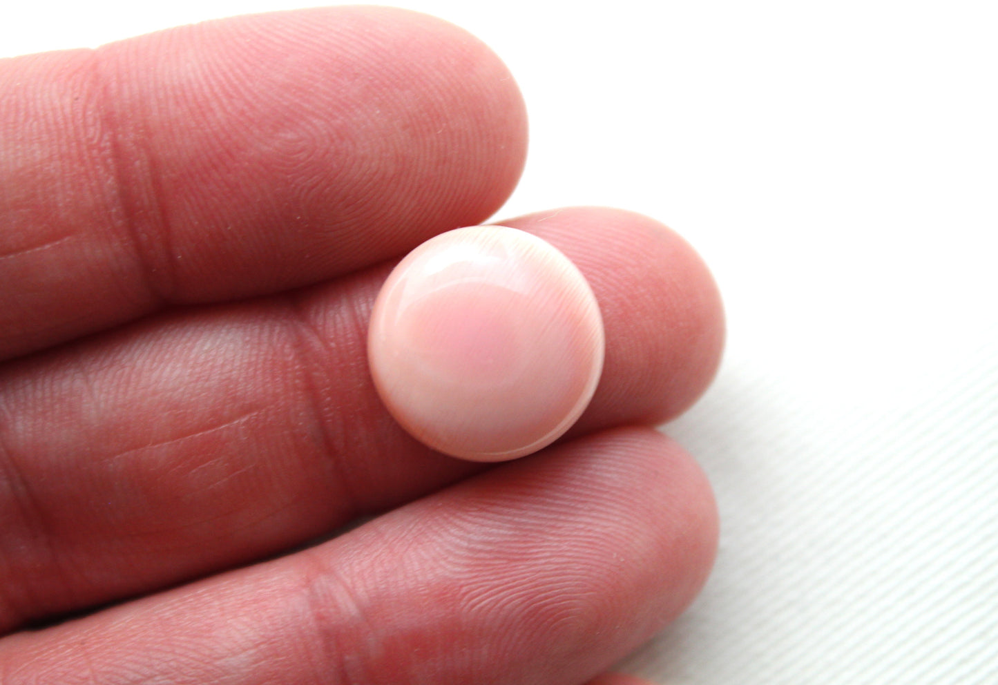 TWO Queen Conch Shell Round Cabochon 14MM