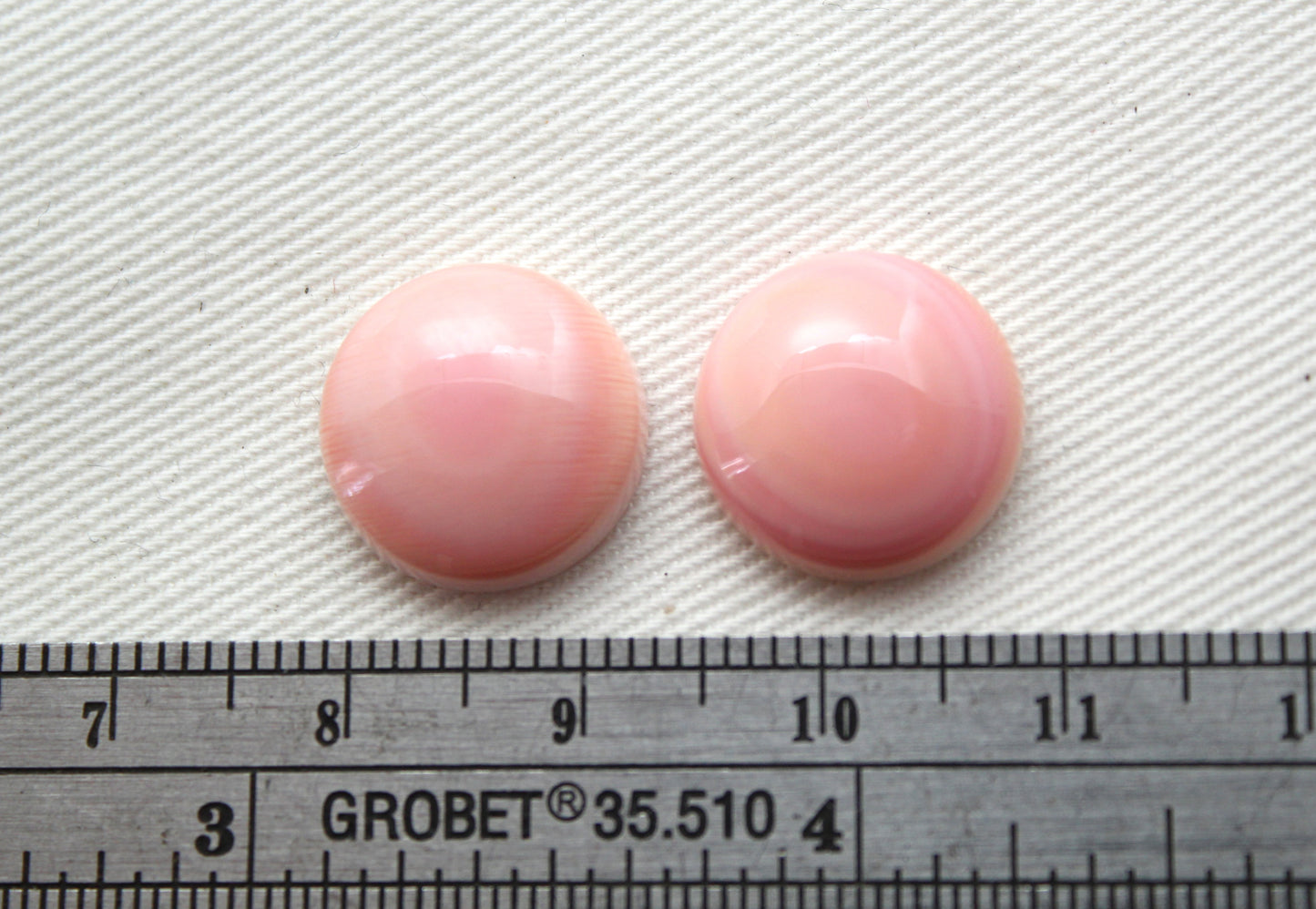 TWO Queen Conch Shell Round Cabochon 14MM