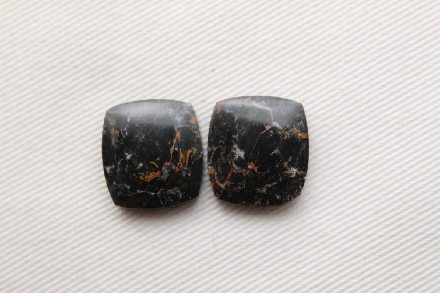 Small Petrified Wood Cabochon Pair natural gemstones