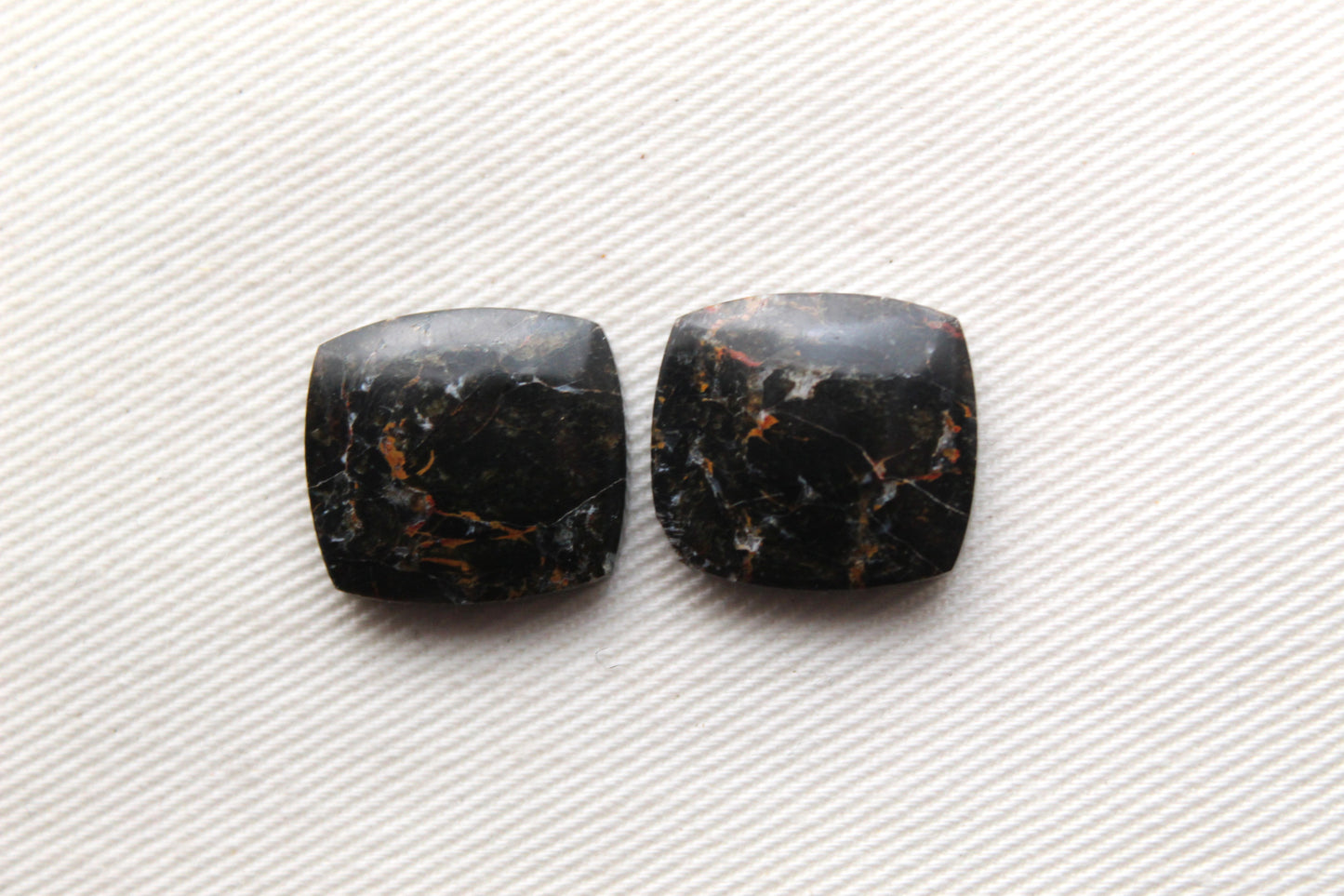 Small Petrified Wood Cabochon Pair natural gemstones