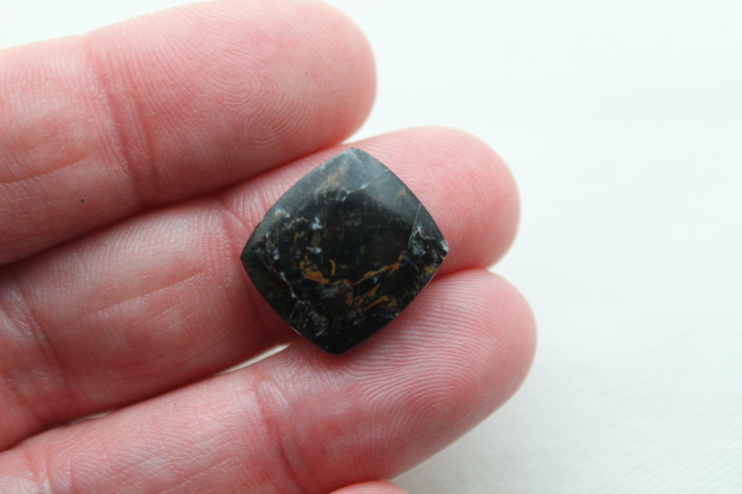 Small Petrified Wood Cabochon Pair natural gemstones