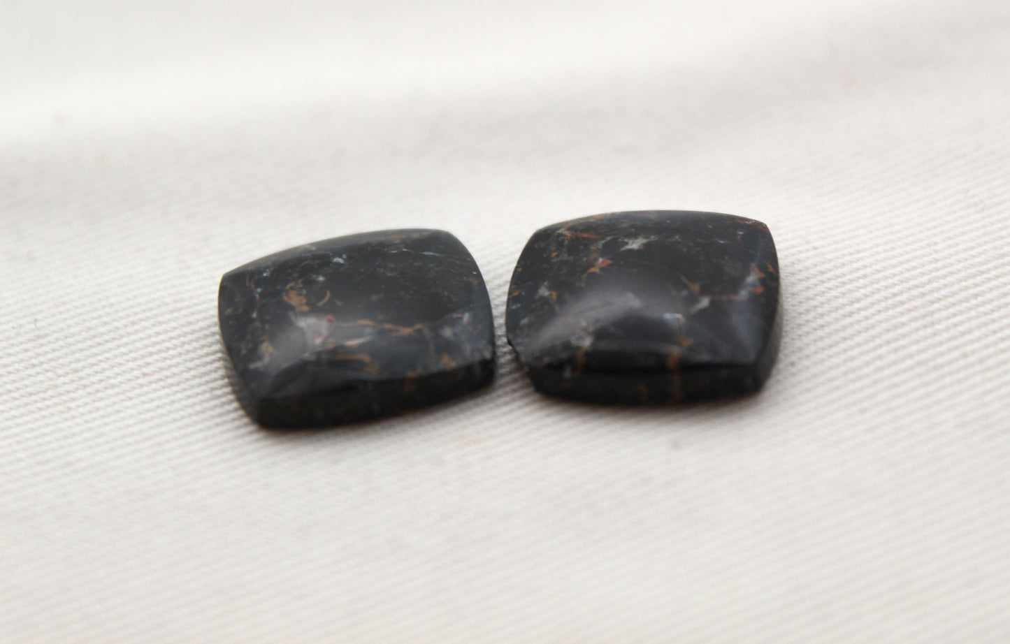 Small Petrified Wood Cabochon Pair natural gemstones