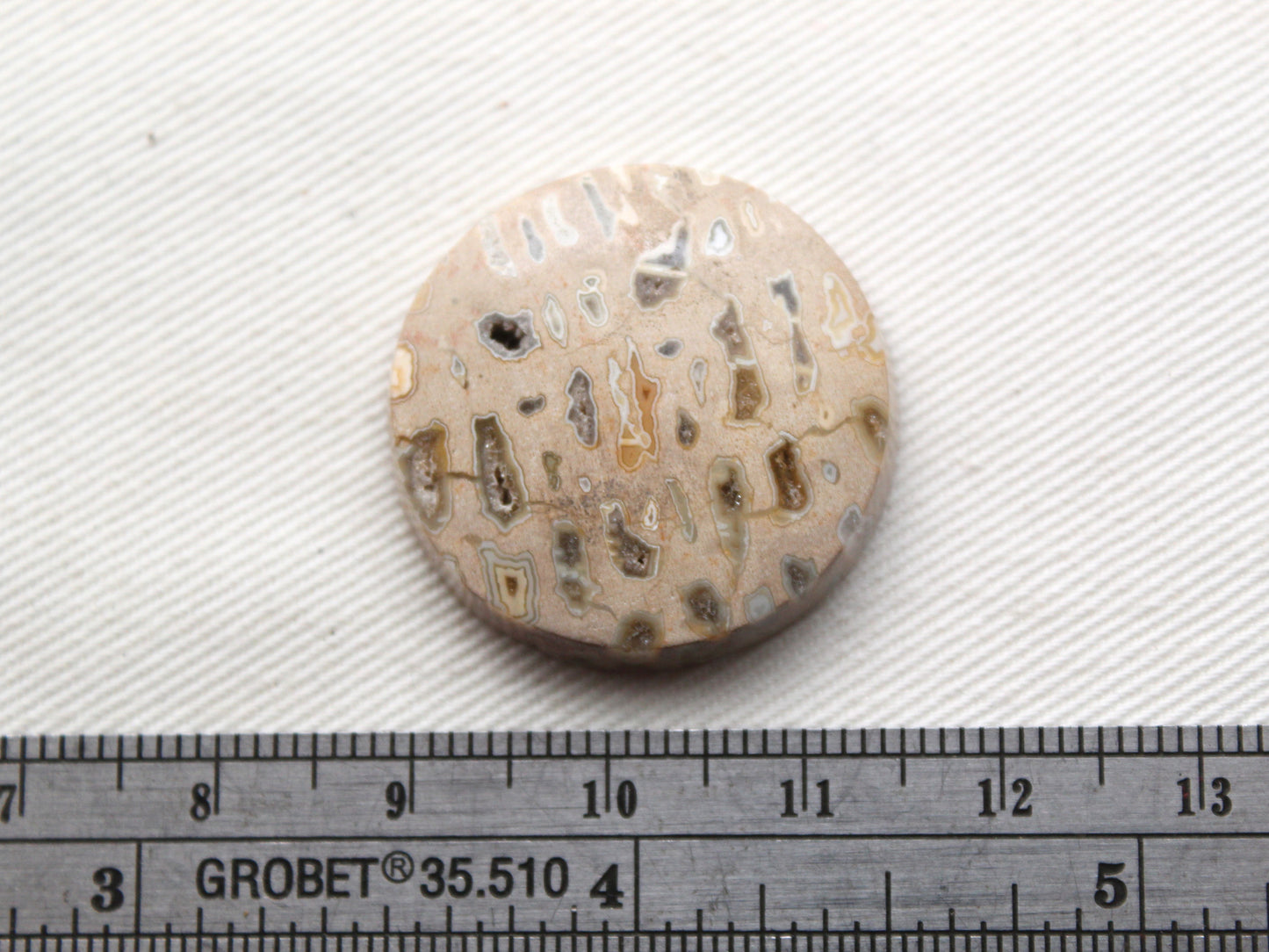One Fossil Palmwood Cabochon Gemstone with druzy pockets round 27MM