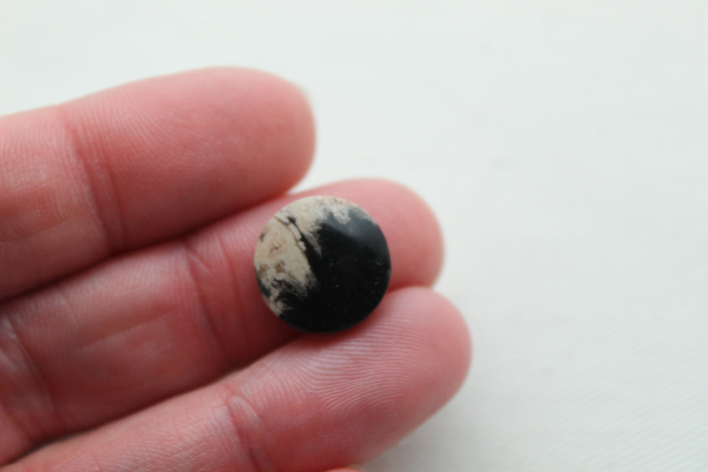 SMALL Petrified Palm Wood Cabochon Pair round 14MM