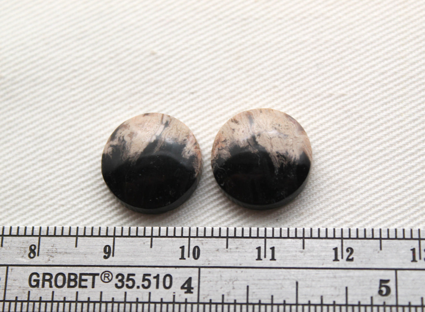 SMALL Petrified Palm Wood Cabochon Pair round 14MM