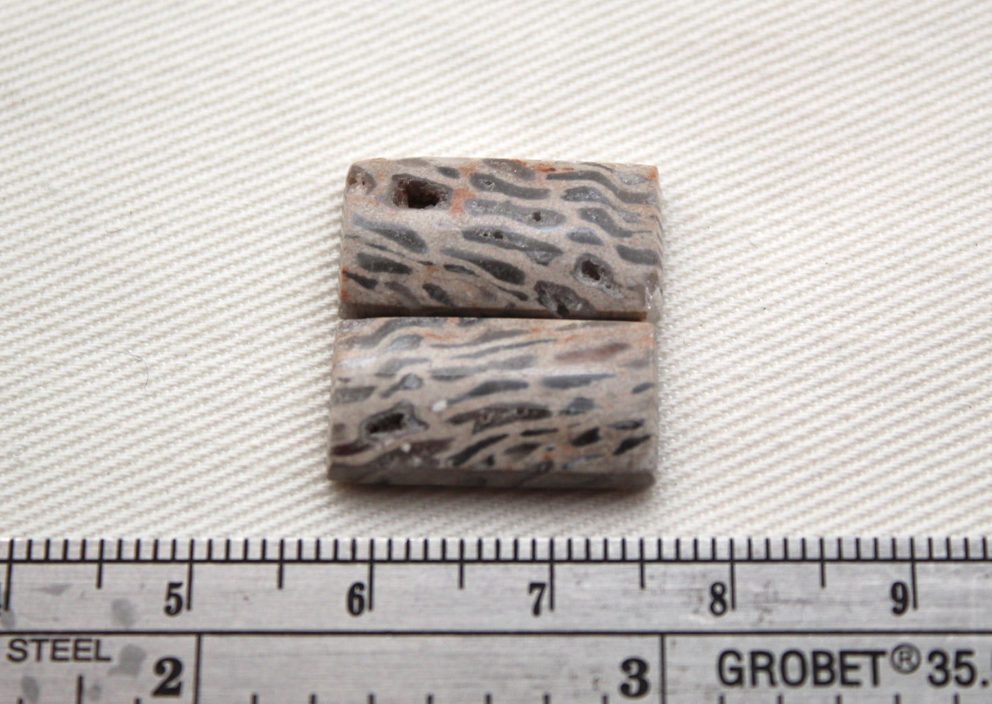 SMALL Fossil Palmwood Cabochon Pair Gemstone with druzy pockets rectangle