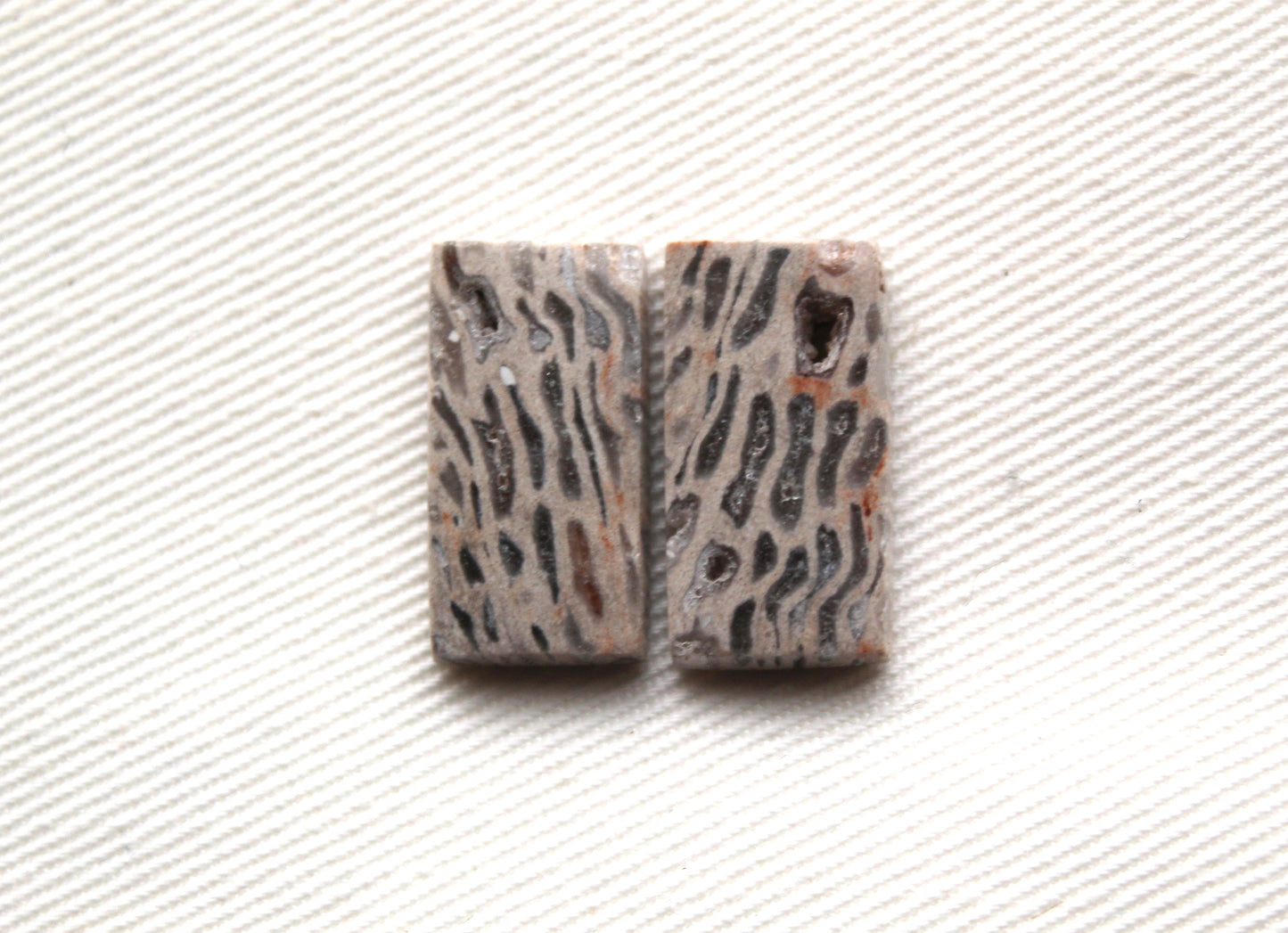 SMALL Fossil Palmwood Cabochon Pair Gemstone with druzy pockets rectangle