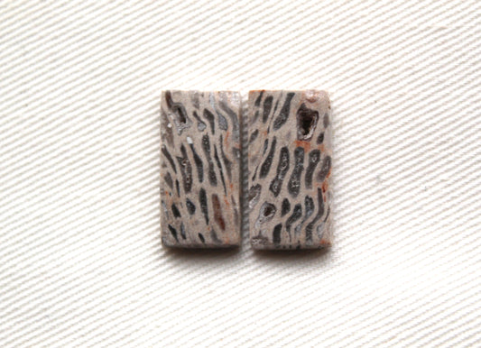 SMALL Fossil Palmwood Cabochon Pair Gemstone with druzy pockets rectangle