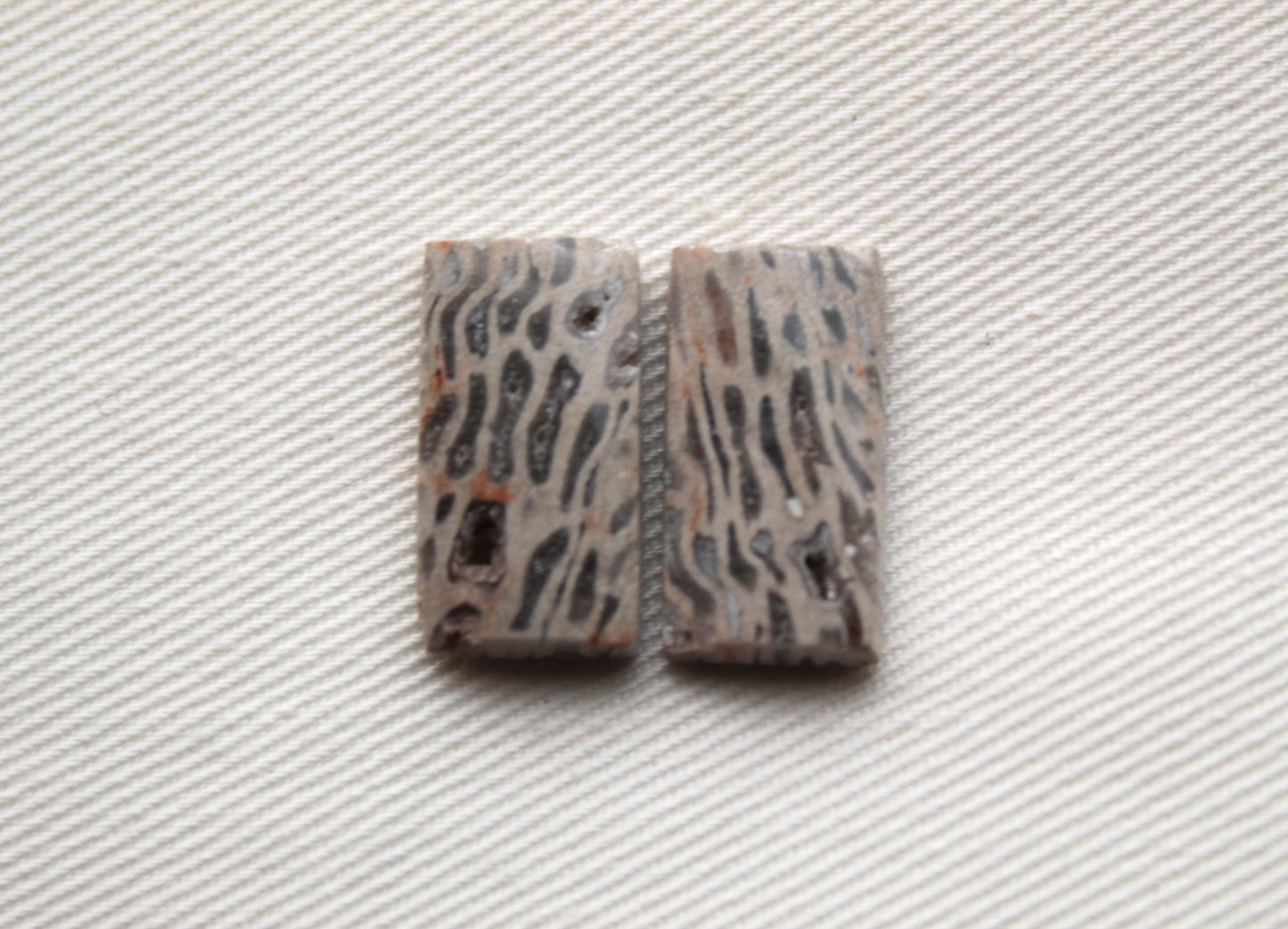 SMALL Fossil Palmwood Cabochon Pair Gemstone with druzy pockets rectangle