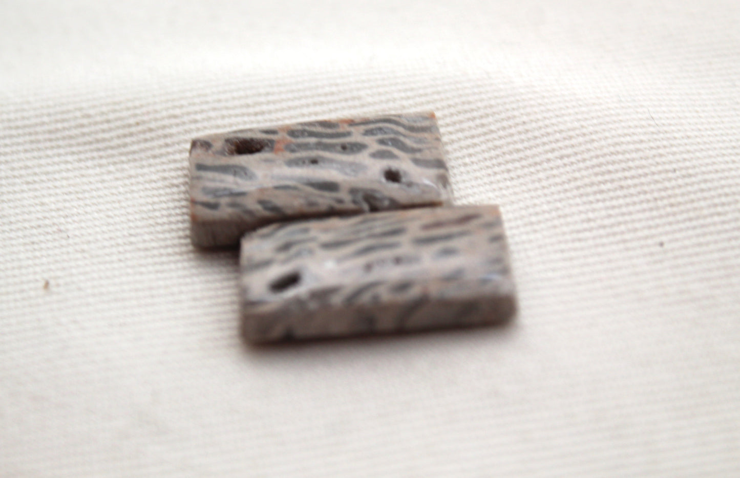 SMALL Fossil Palmwood Cabochon Pair Gemstone with druzy pockets rectangle