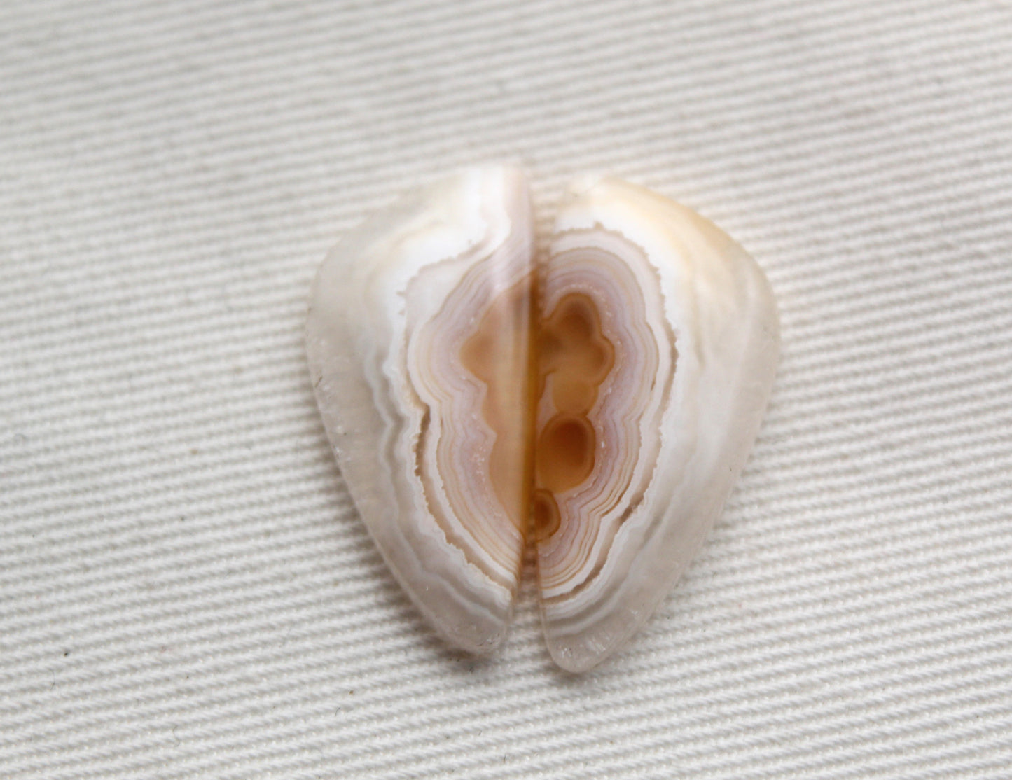 NICE Orbicular Agate Cabochons Pair Gemstone natural