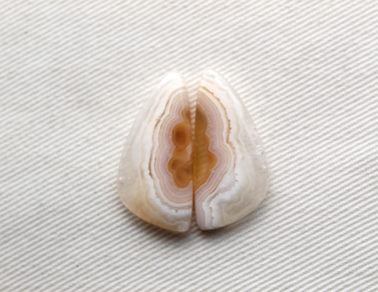 NICE Orbicular Agate Cabochons Pair Gemstone natural