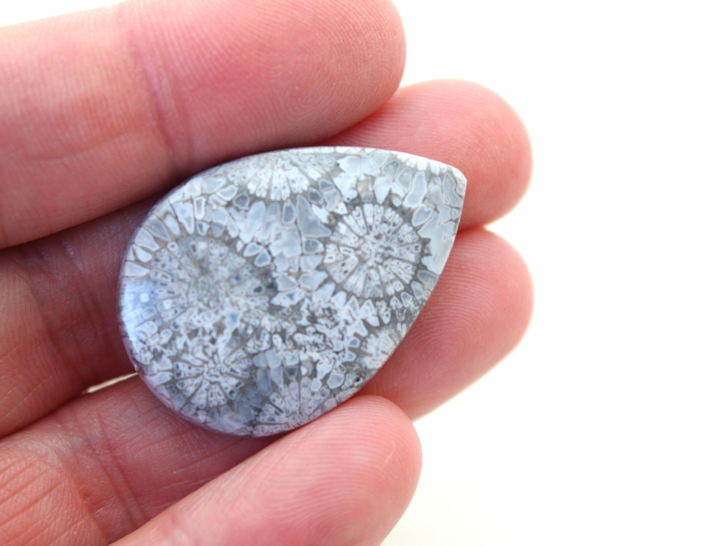 Fossilized Coral Gemstone Teardrop cabochon Pear
