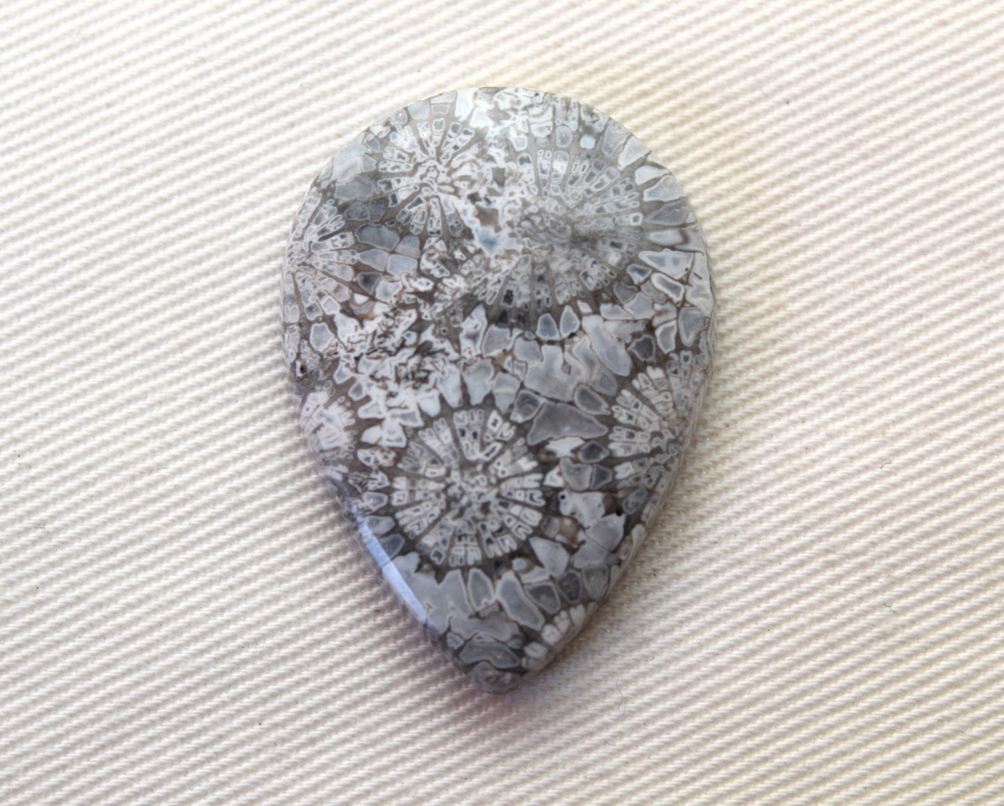 Fossilized Coral Gemstone Teardrop cabochon Pear