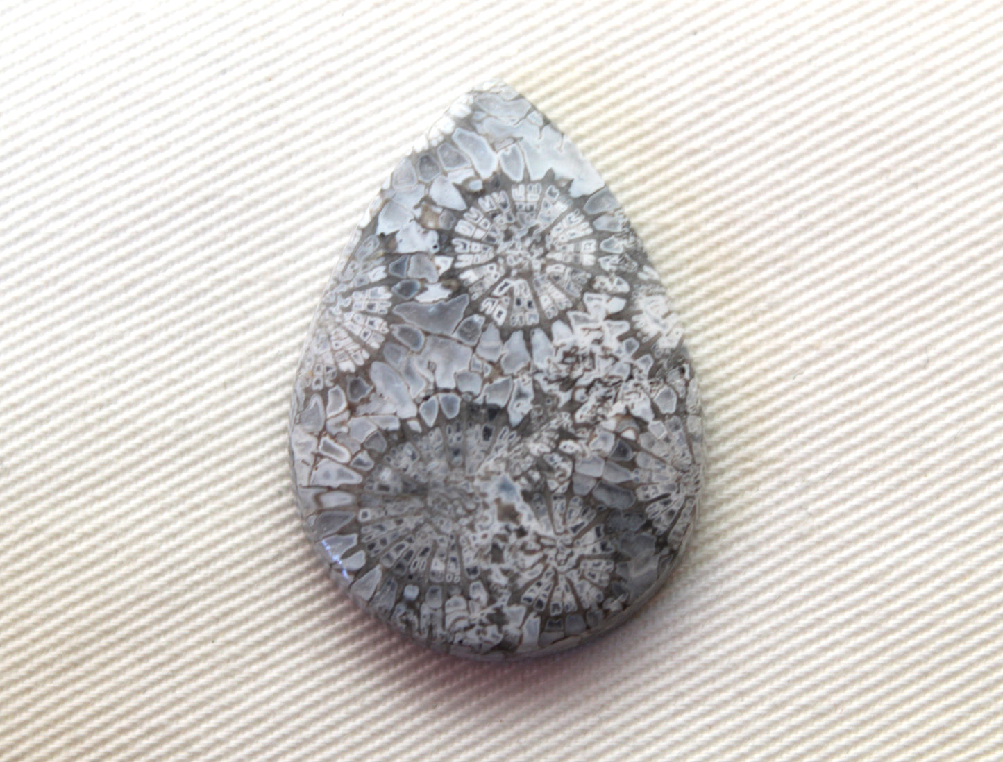 Fossilized Coral Gemstone Teardrop cabochon Pear