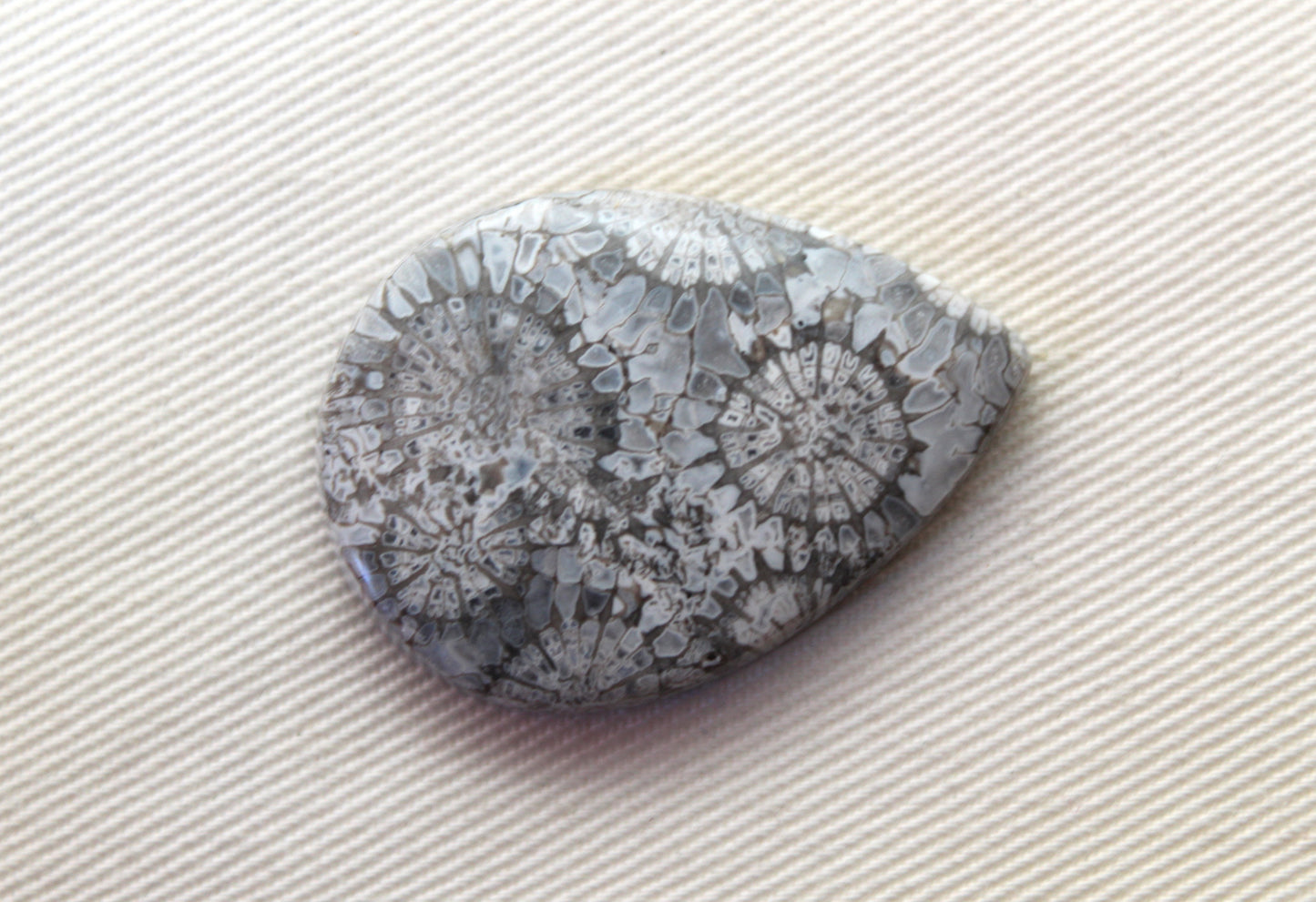Fossilized Coral Gemstone Teardrop cabochon Pear