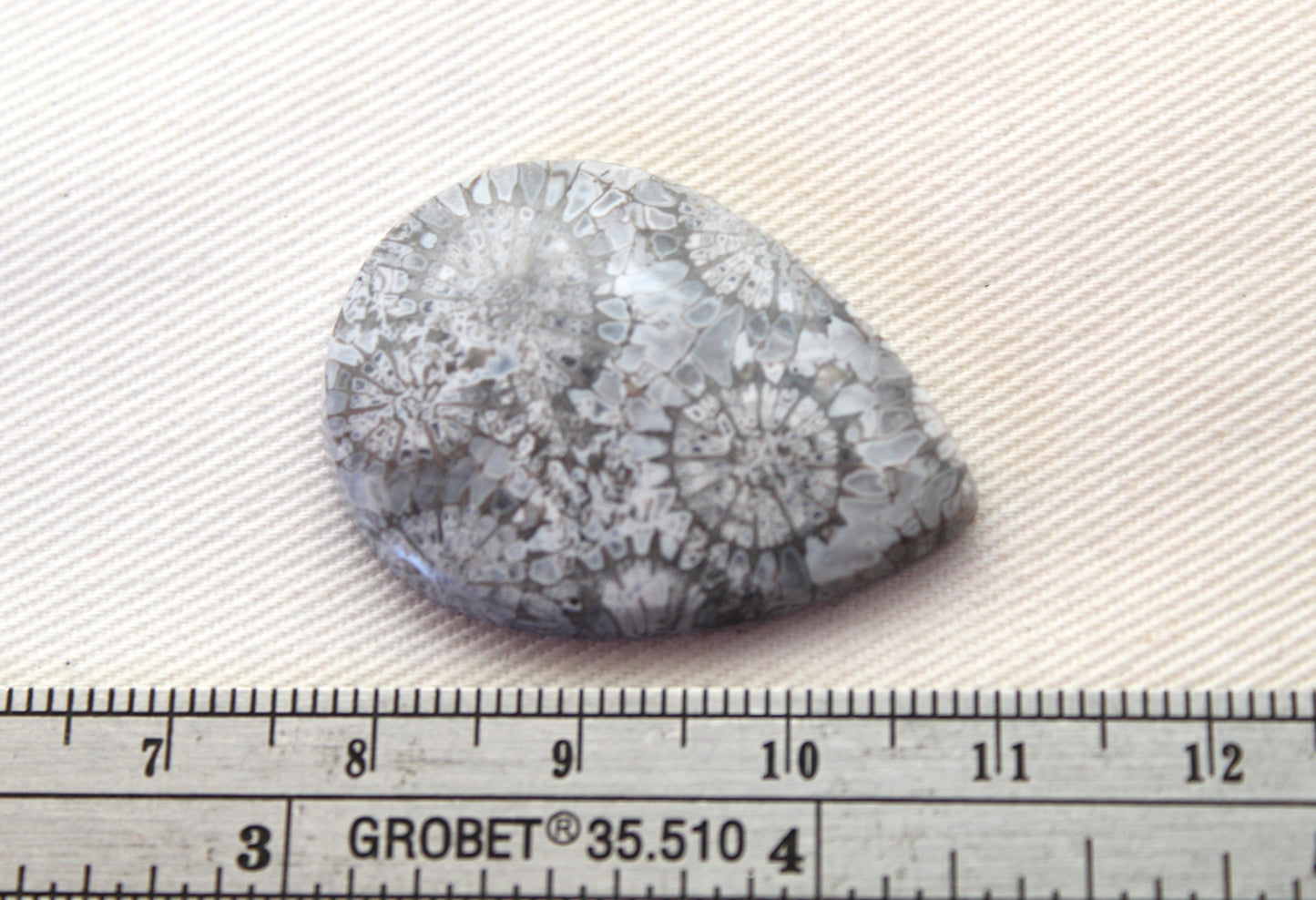 Fossilized Coral Gemstone Teardrop cabochon Pear