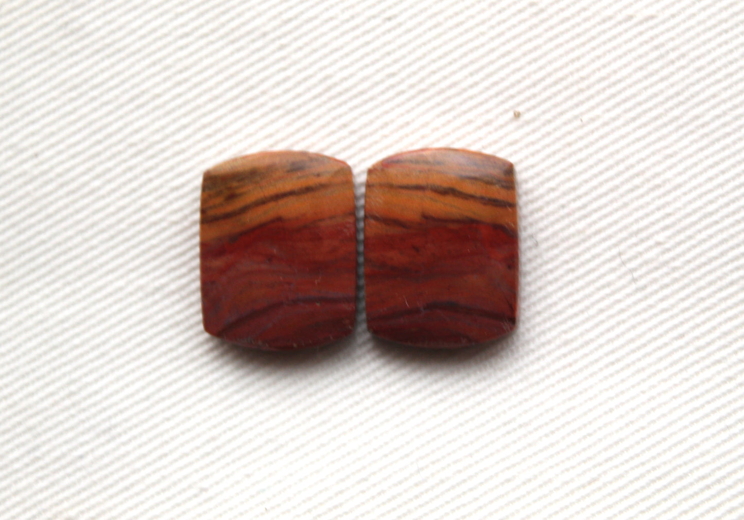 Small Petrified Wood Cabochon Pair natural gemstones red