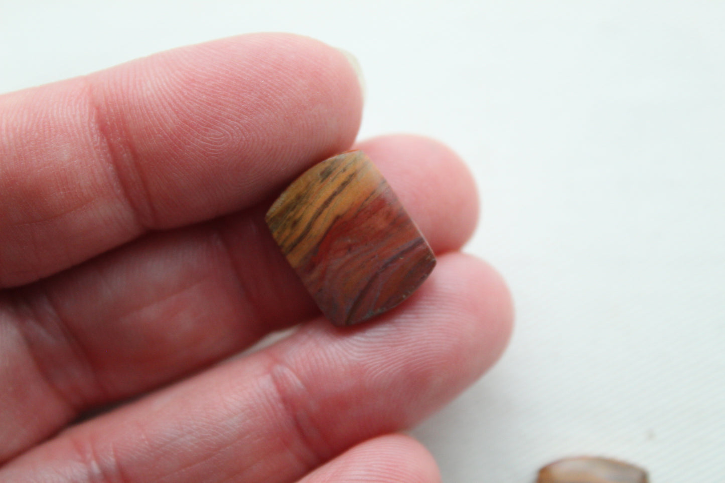 Small Petrified Wood Cabochon Pair natural gemstones red