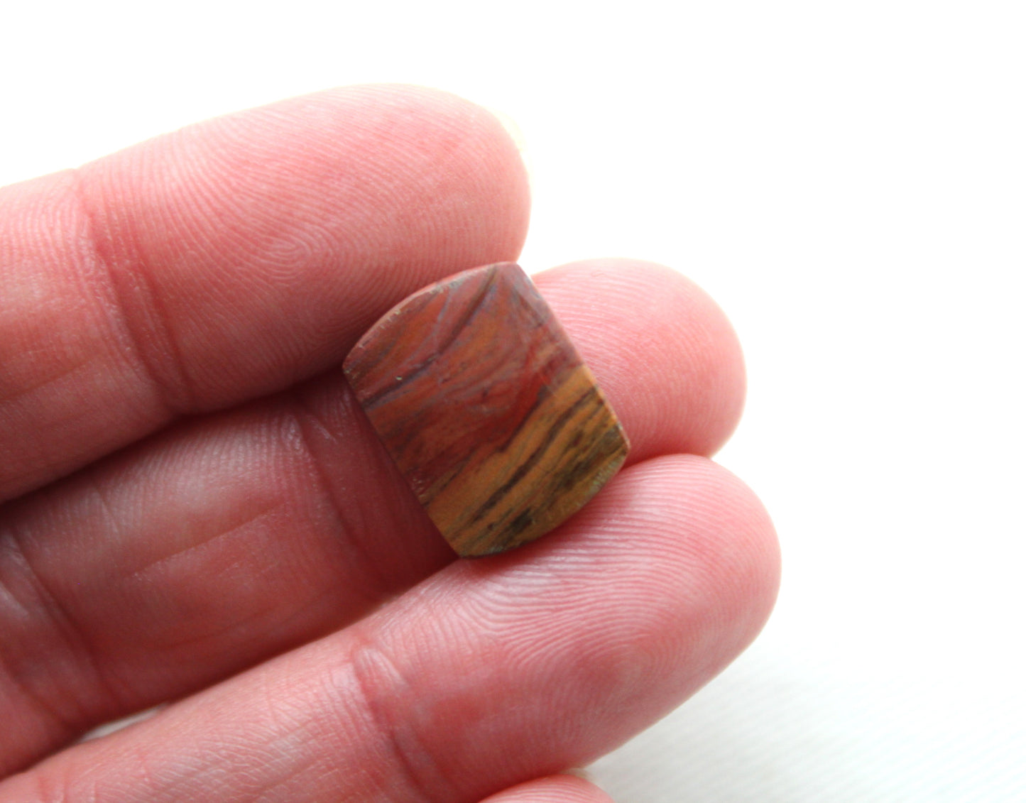Small Petrified Wood Cabochon Pair natural gemstones red