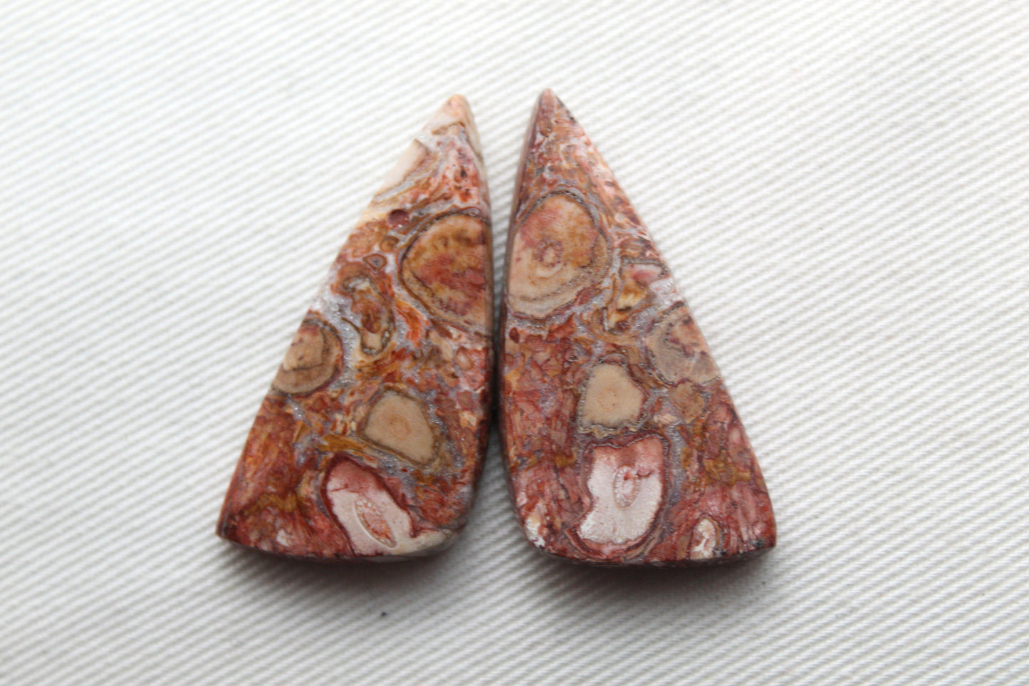 Red Palm Root Orb Cabochon Pair natural gemstones