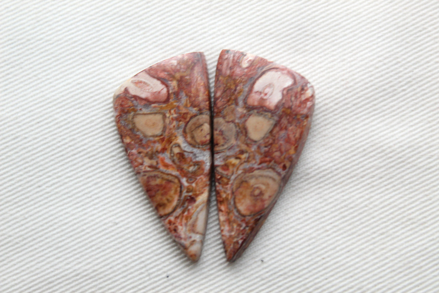 Red Palm Root Orb Cabochon Pair natural gemstones