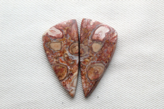 Red Palm Root Orb Cabochon Pair natural gemstones