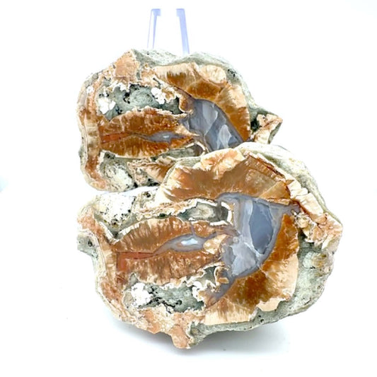 Natural Agate Nodule Mont Lyall Canada polished one face
