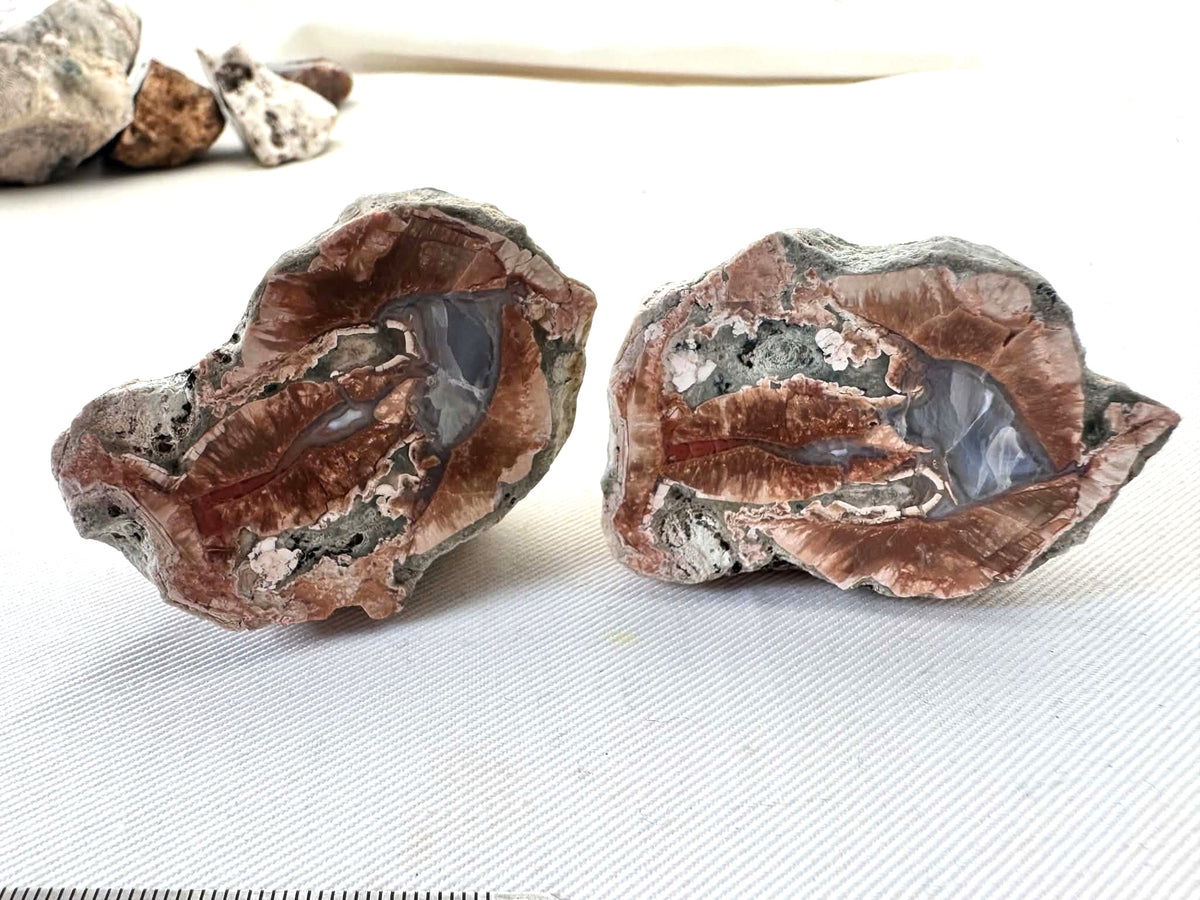 Natural Agate Nodule Mont Lyall Canada polished one face