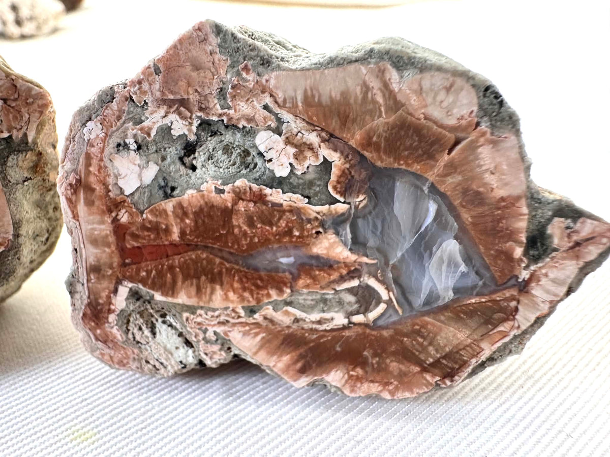 Natural Agate Nodule Mont Lyall Canada polished one face