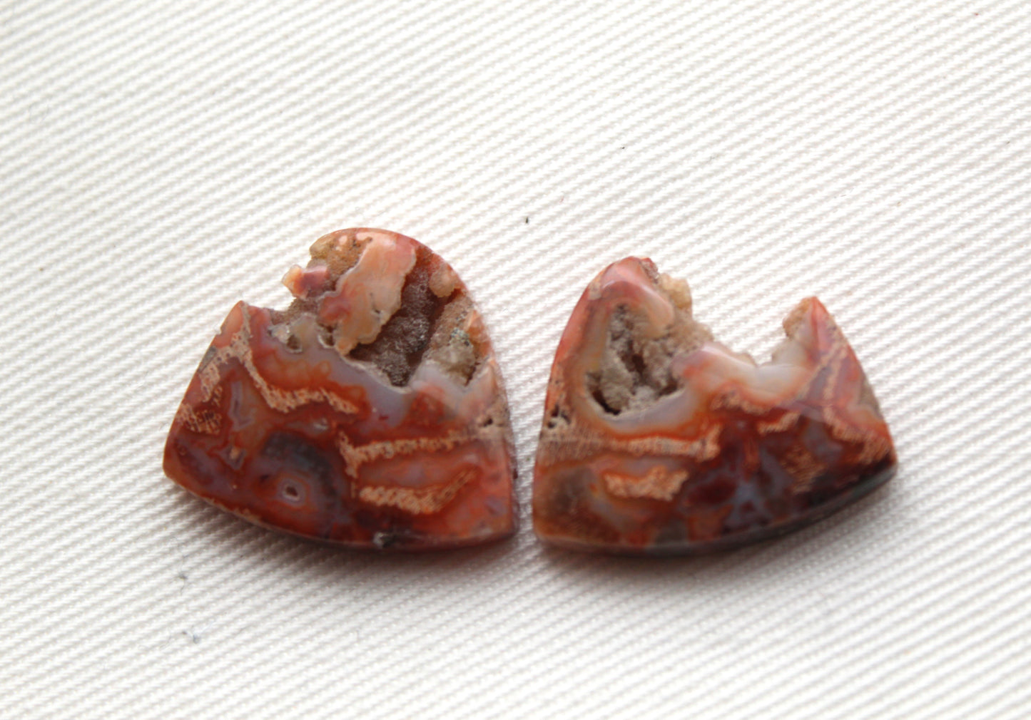 Fossil Palmwood Cabochon Pair Gemstone with druzy pockets pink