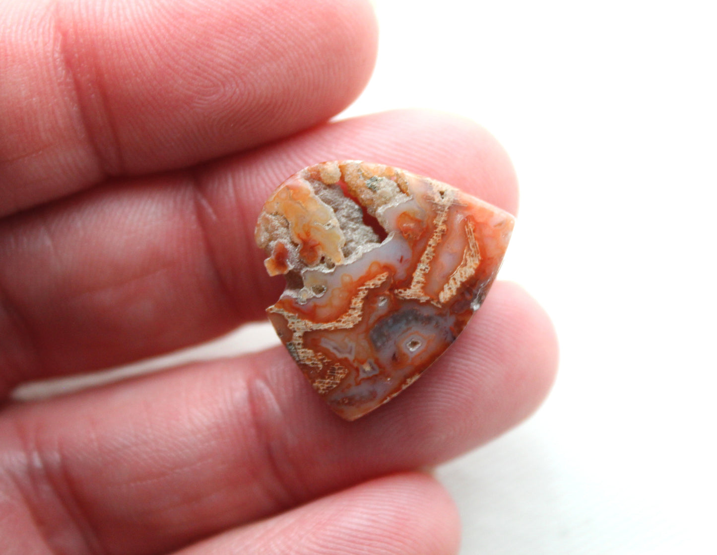 Fossil Palmwood Cabochon Pair Gemstone with druzy pockets pink