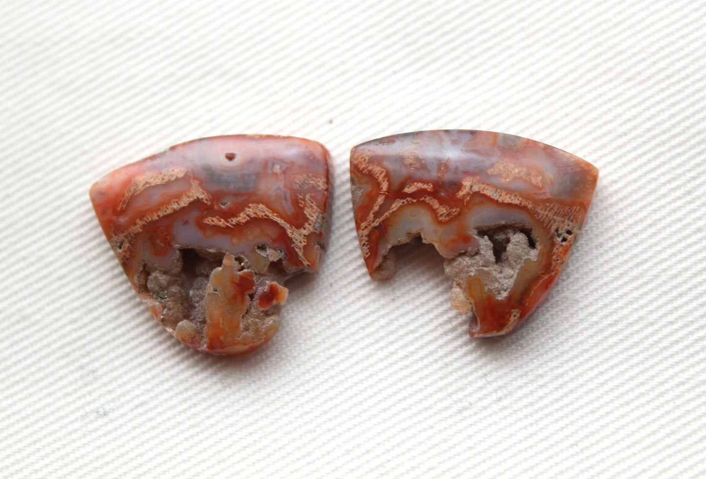 Fossil Palmwood Cabochon Pair Gemstone with druzy pockets pink
