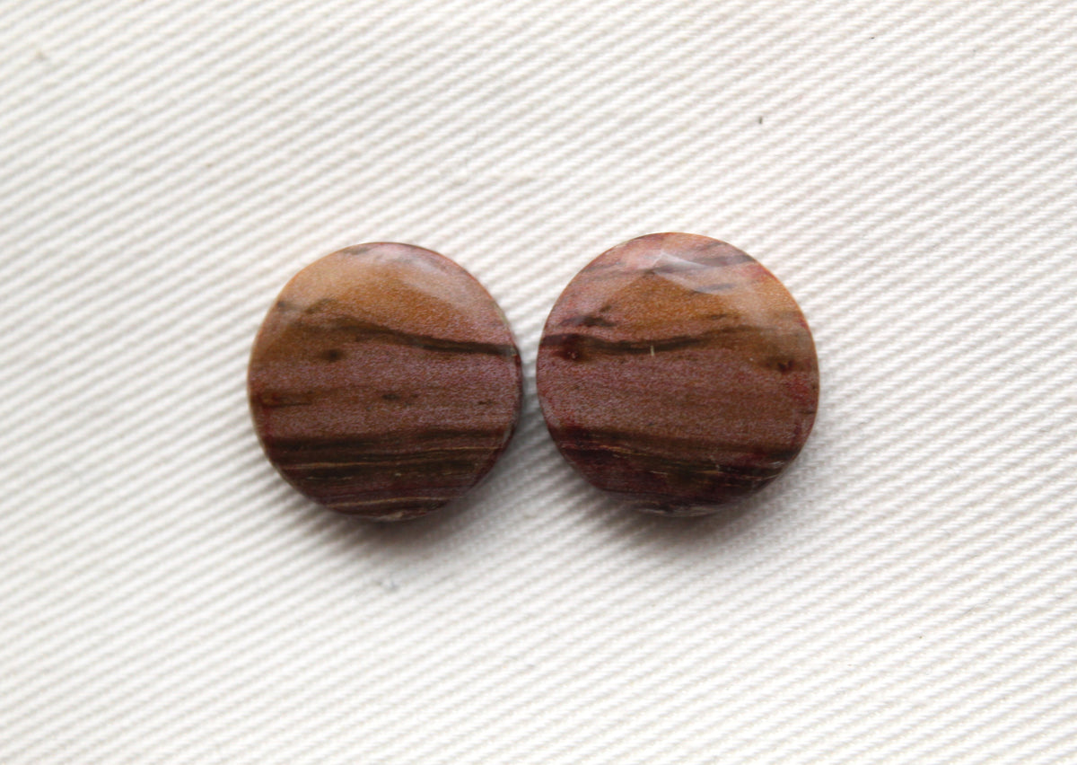Small Petrified Wood Cabochon Pair natural gemstones round 15MM