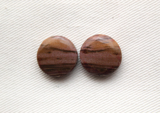 Small Petrified Wood Cabochon Pair natural gemstones round 15MM