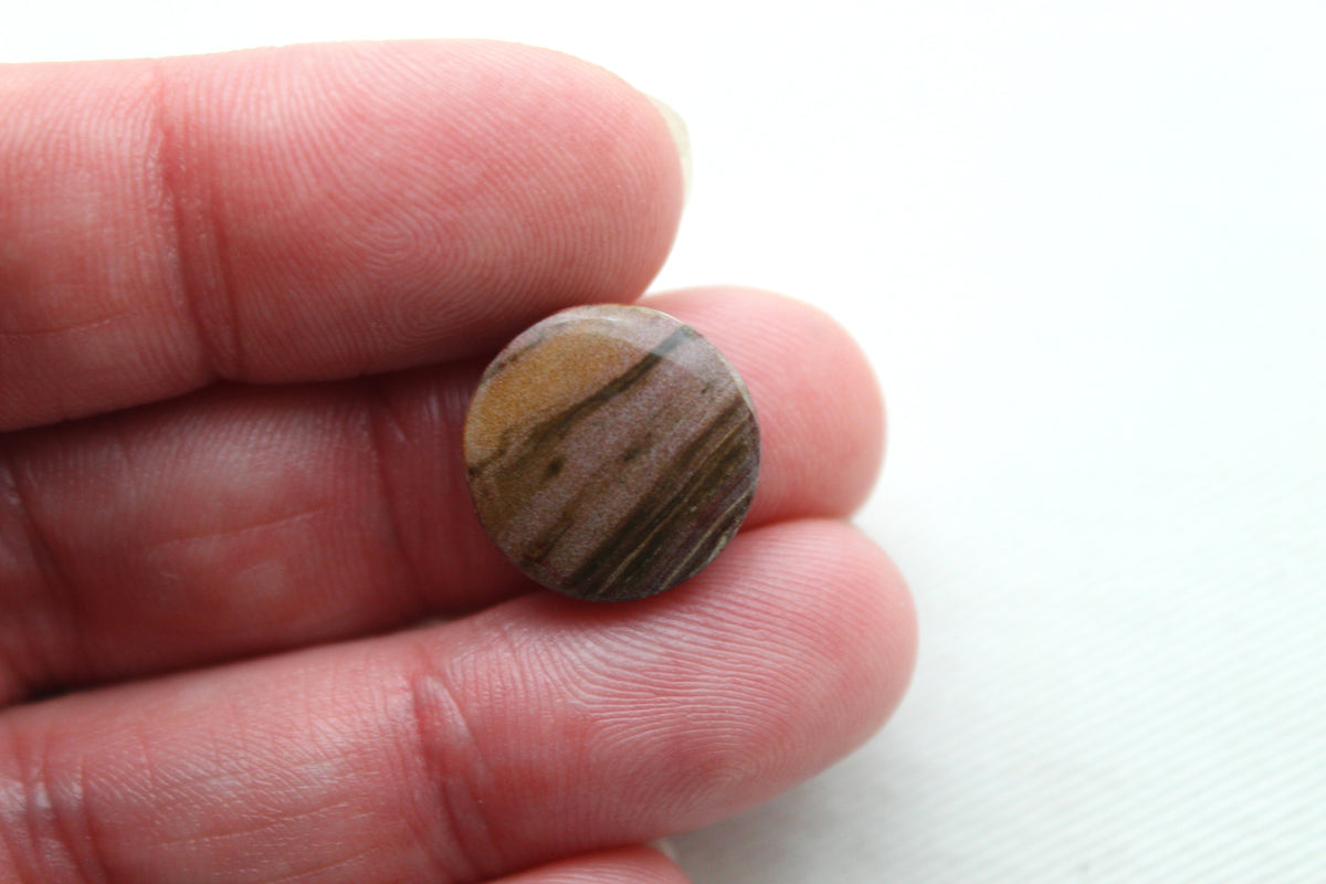 Small Petrified Wood Cabochon Pair natural gemstones round 15MM
