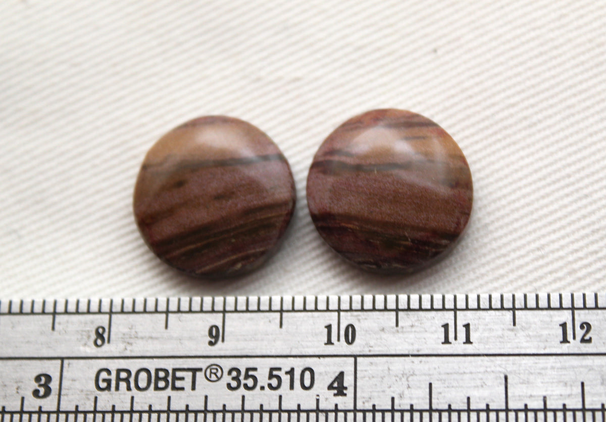 Small Petrified Wood Cabochon Pair natural gemstones round 15MM