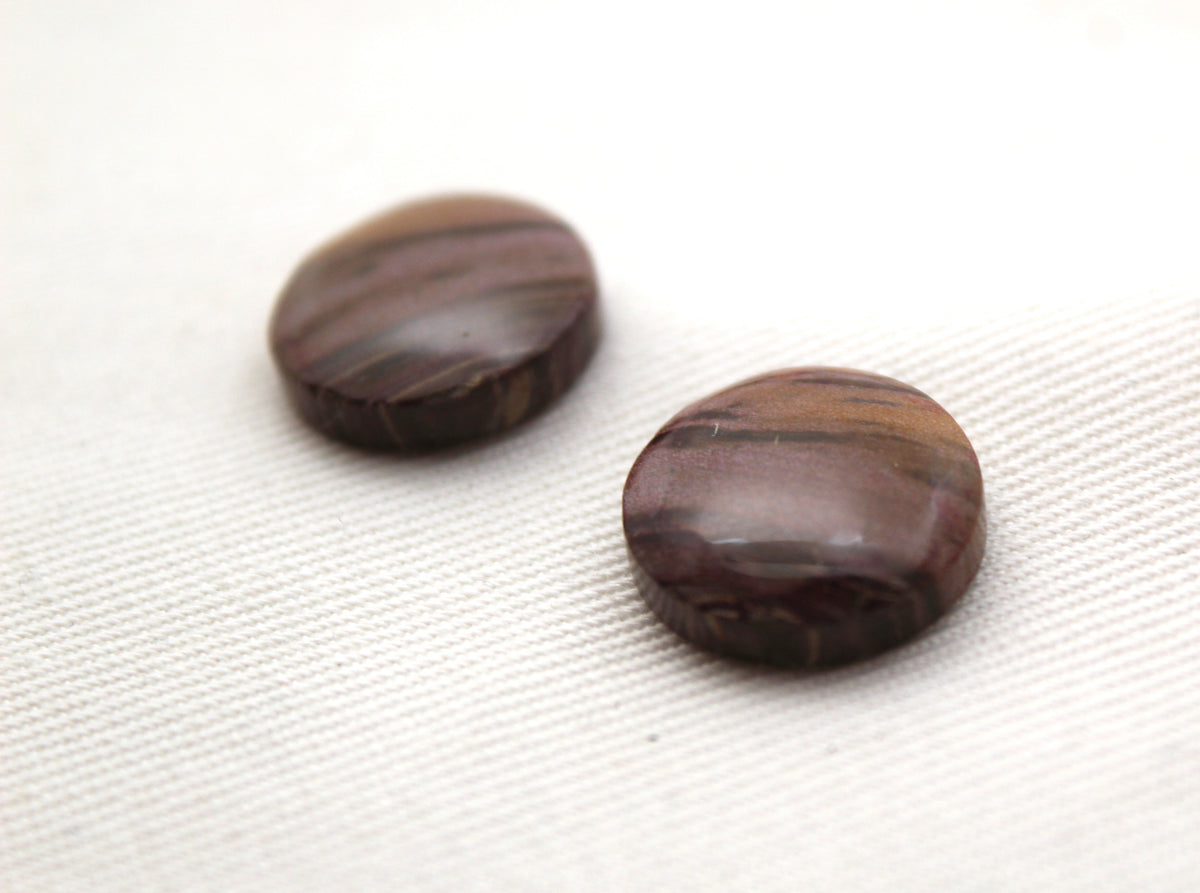 Small Petrified Wood Cabochon Pair natural gemstones round 15MM