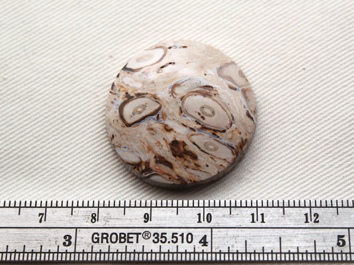 Petrified Palm root with Orbs Cabochon round Focal gemstone 30MM