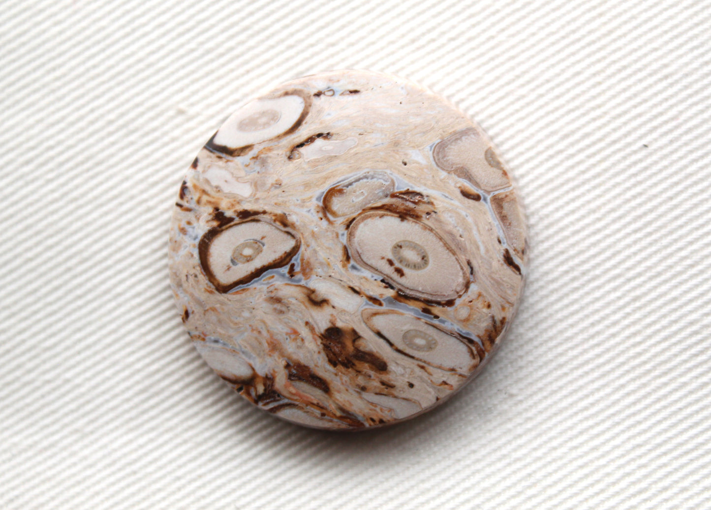 Petrified Palm root with Orbs Cabochon round Focal gemstone 30MM