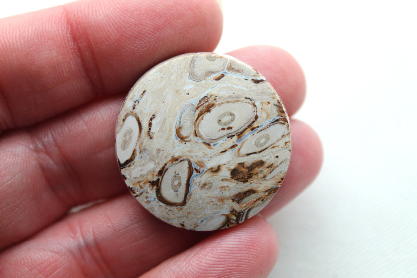 Petrified Palm root with Orbs Cabochon round Focal gemstone 30MM