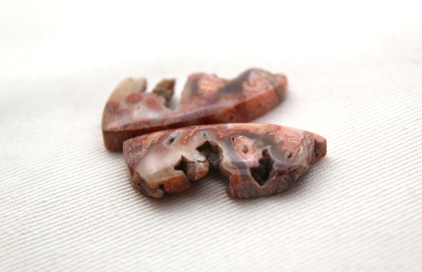 Fossil Palmwood Cabochon Pair Gemstone with druzy pockets pink