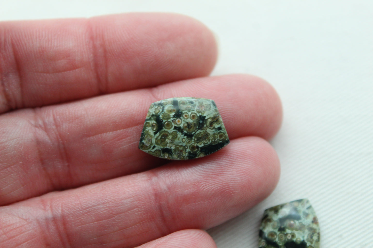 Small Green Olive Jasper Cabochon Pair Gemstone