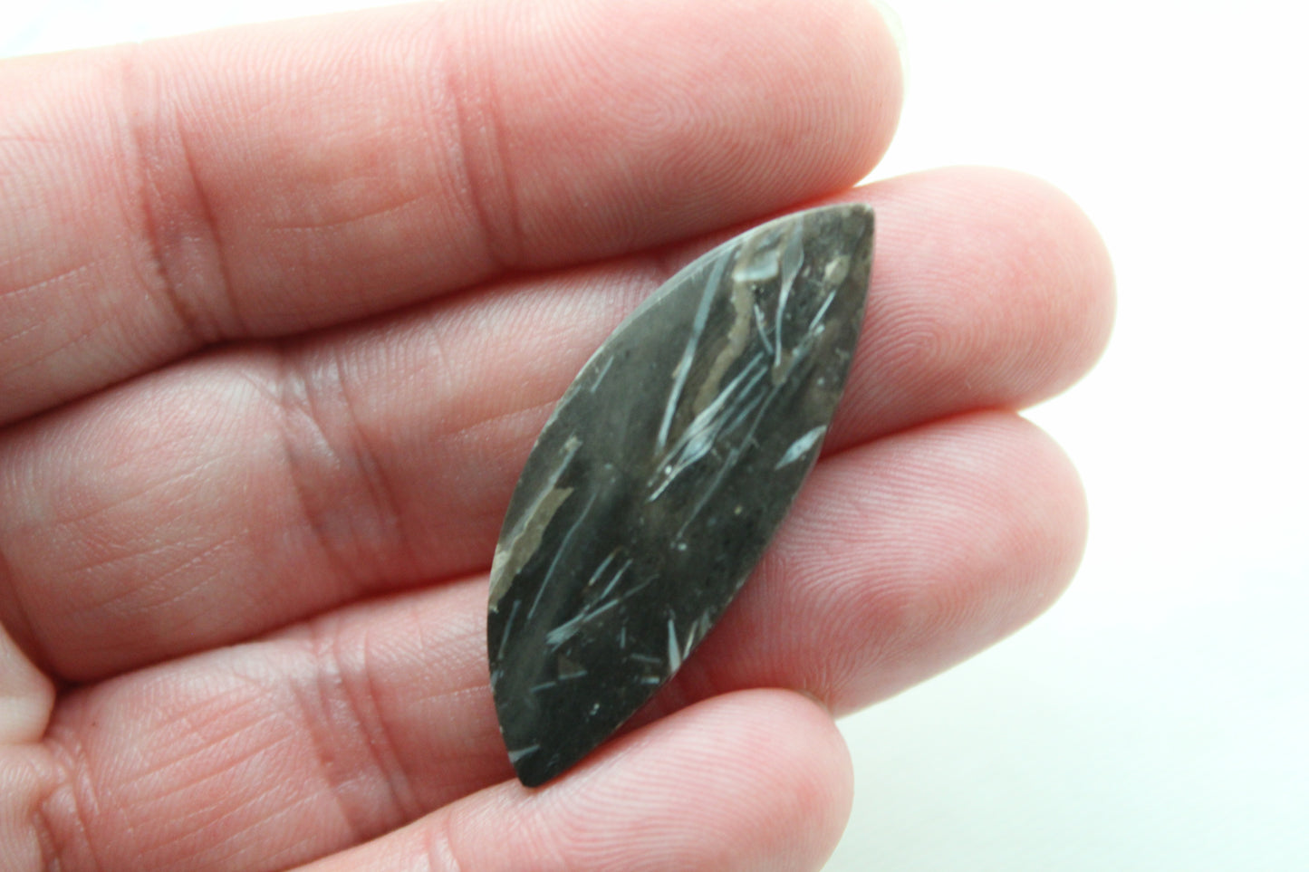 Feather Agate Cabochons Pair Gemstone Freeform