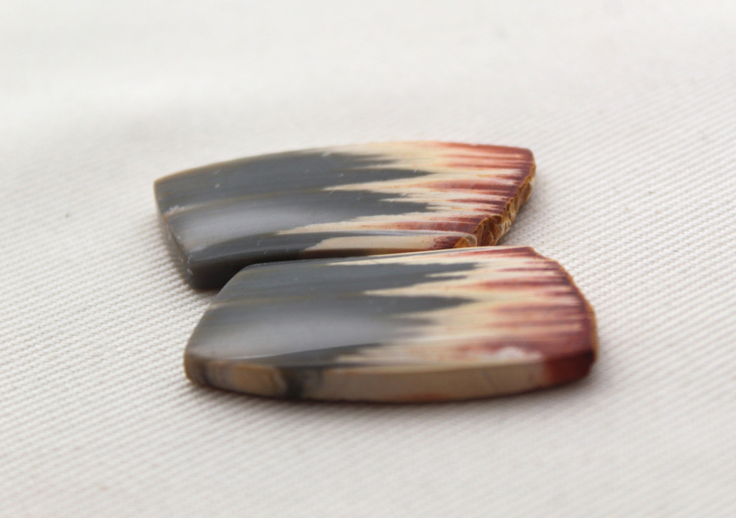 Rare Pair of Fossil Wood freeform gemstone