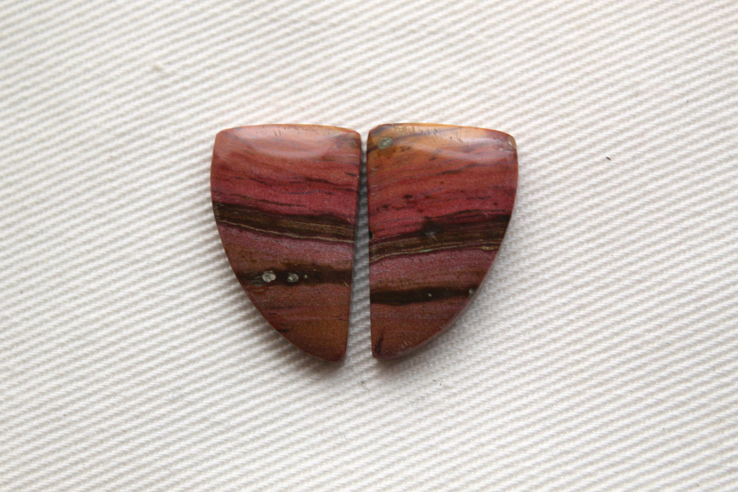 Small Petrified Wood Cabochon Pair natural gemstones pink