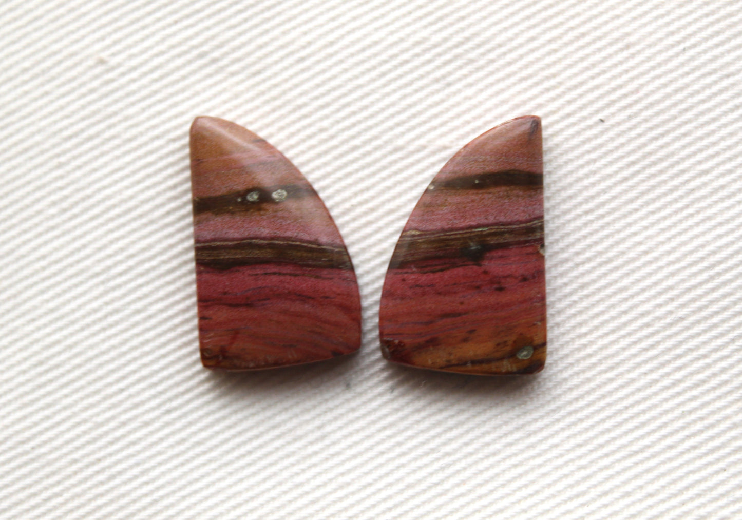 Small Petrified Wood Cabochon Pair natural gemstones pink