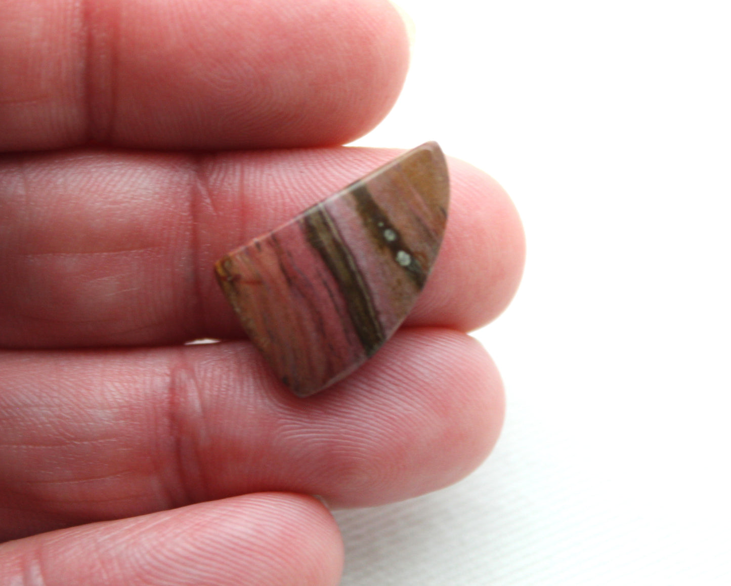 Small Petrified Wood Cabochon Pair natural gemstones pink