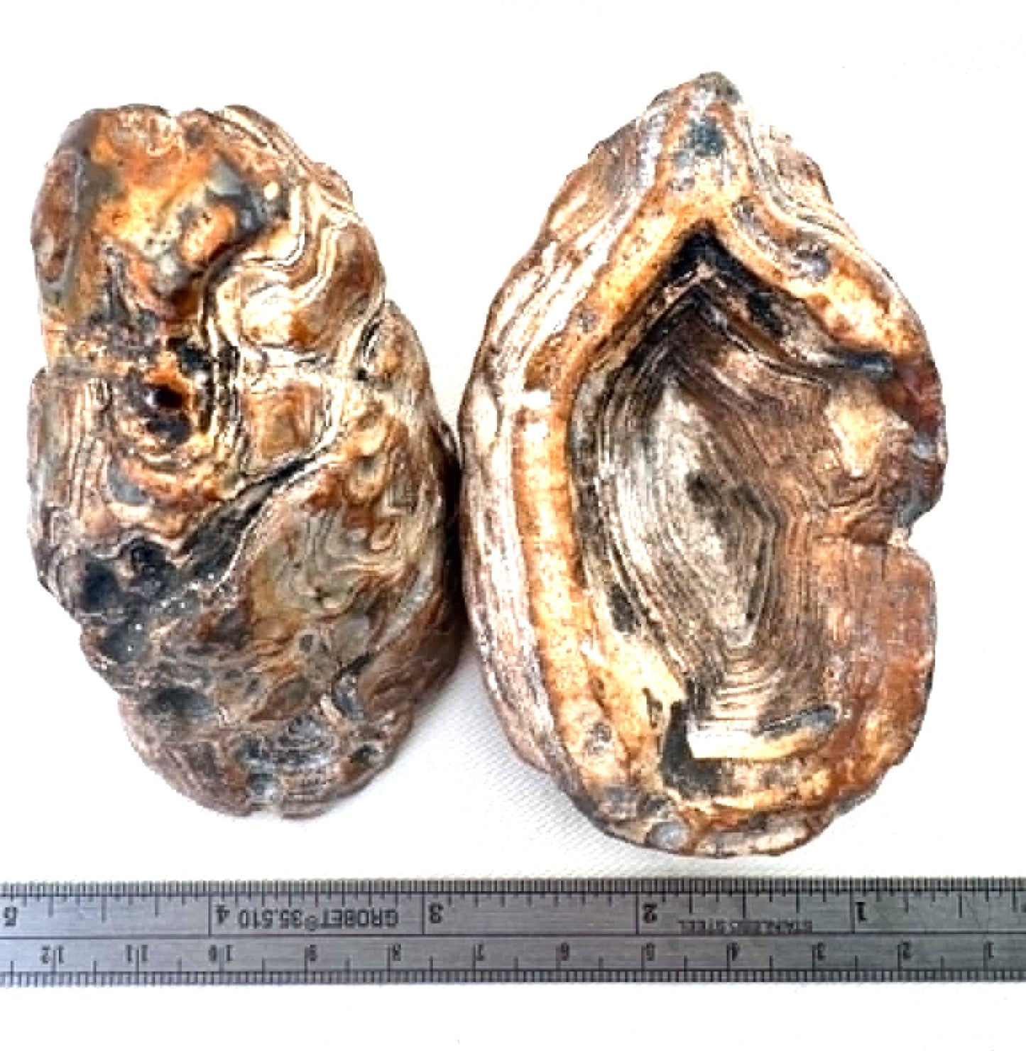 Indonesian Yellow banded Agate nodule polished