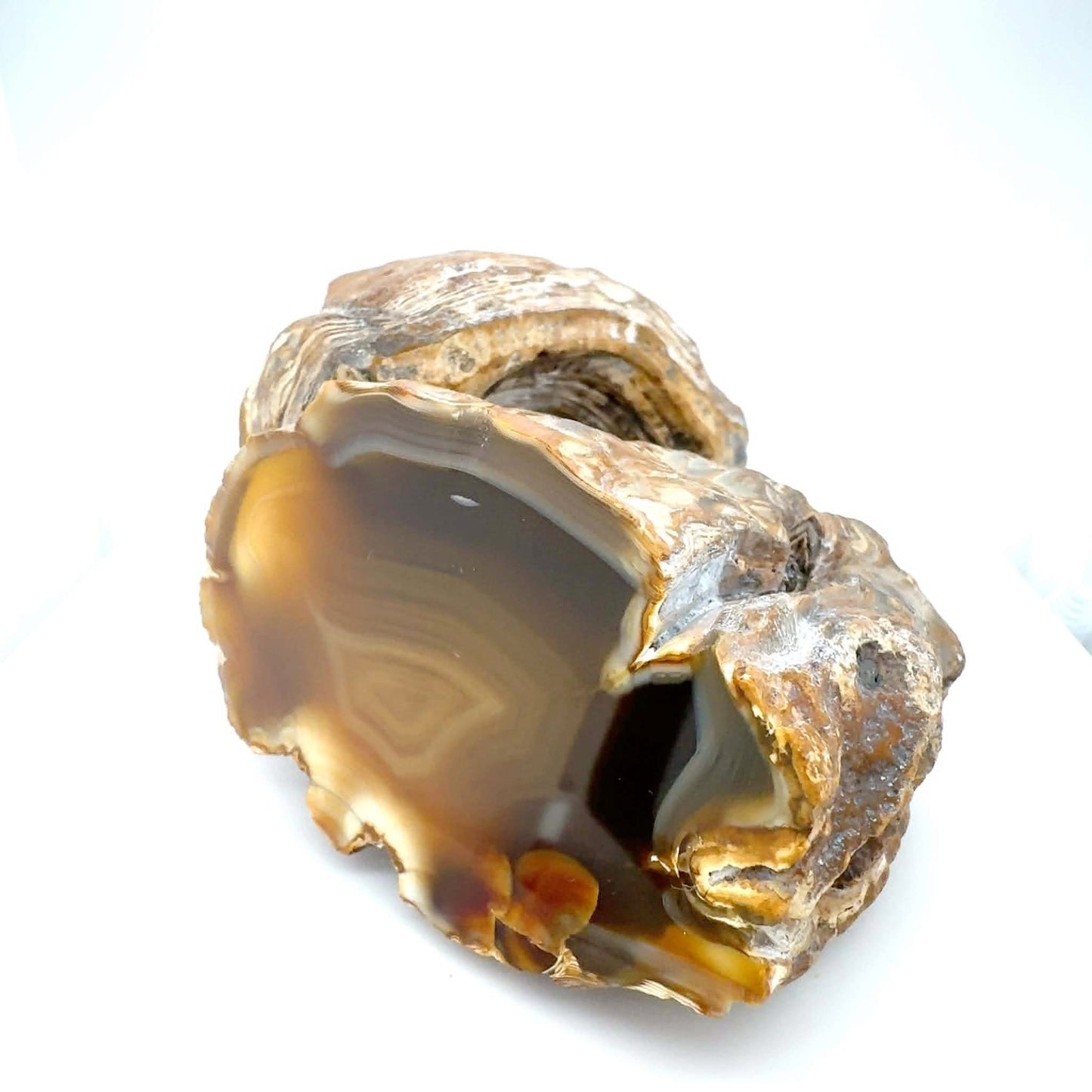 Indonesian Yellow banded Agate nodule polished